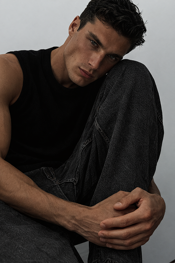 Editorial model